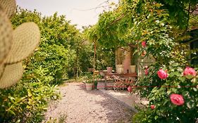 Domaine Hemmitage